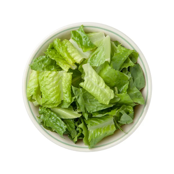 Romaine Lettuce Bowl isolated — Stock Photo, Image