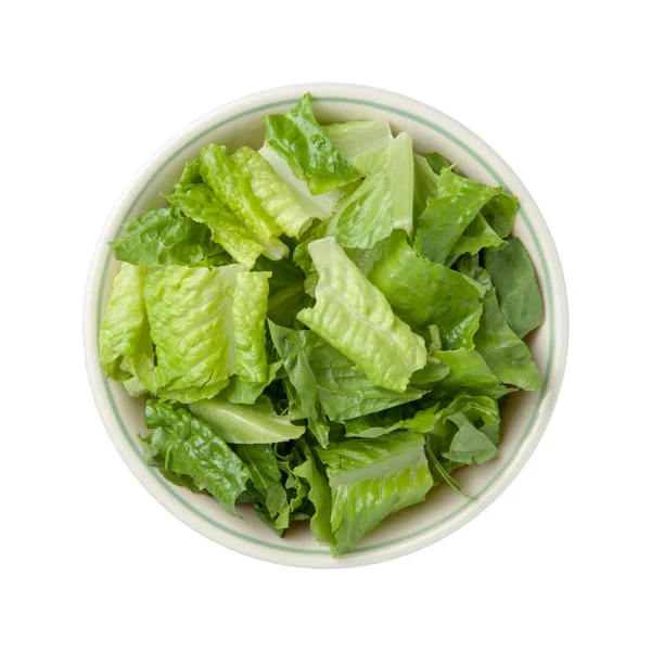 Romaine Lettuce Bowl terisolasi — Stok Foto