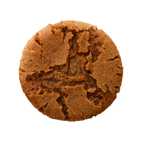 Ingefära snapin cookie Stockbild