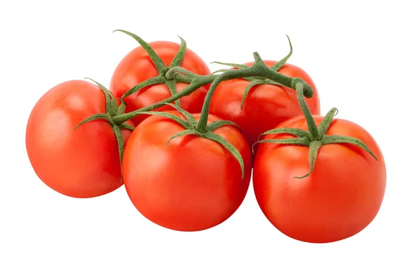 Tomaten op de wijnstok Stockfoto
