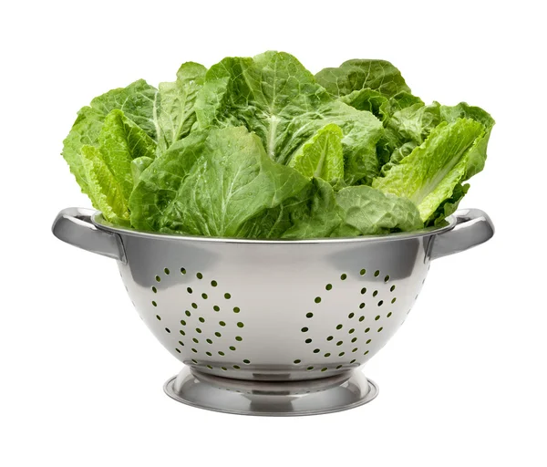 Romain Salat in einem Sieb aus Edelstahl — Stockfoto