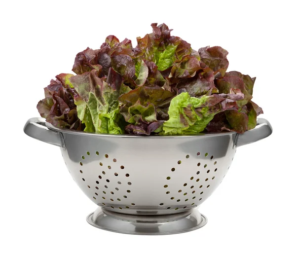 Roter Blattsalat in einem Sieb aus Edelstahl — Stockfoto