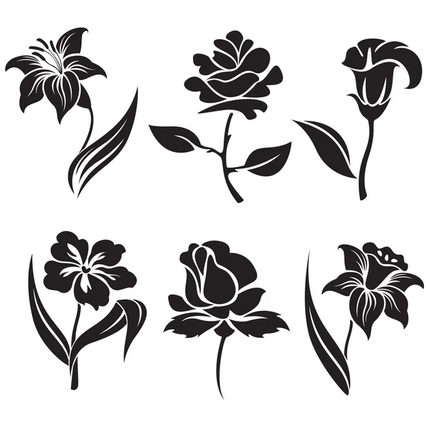 Ensemble vectoriel de fleurs noires et blanches. — Image vectorielle