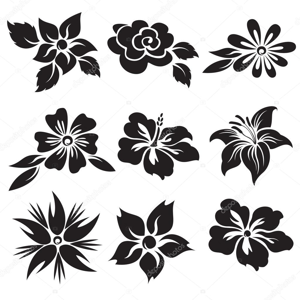 Vector set of black and white flowers.
