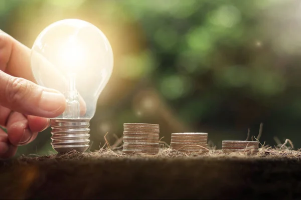 Hand holding light bulb with coins stack. Business success, saving money, money management for the future concept,