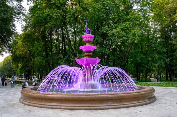 Fuente Del Norte Parque Estación Del Río Del Norte Moscú — Foto de Stock