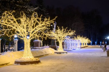 Kuzey Nehri İstasyonu, Moskova, Rusya Federasyonu 'nun parkında yeni yıl ve Noel süslemeleri, 20 Ocak 2021