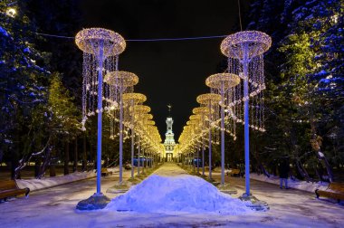 Kuzey Nehri İstasyonu, Moskova, Rusya Federasyonu 'nun parkında yeni yıl ve Noel süslemeleri, 20 Ocak 2021