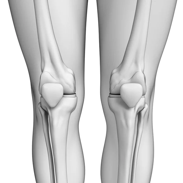 Carátula humana — Foto de Stock