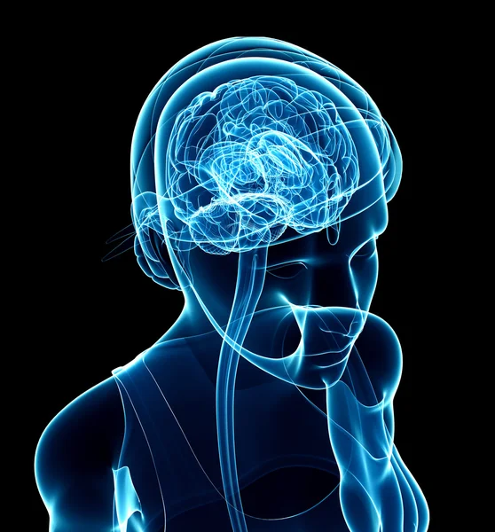 Female xray brain anatomy — Stock Photo, Image