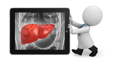 genç doktor karaciğer anatomisi ile