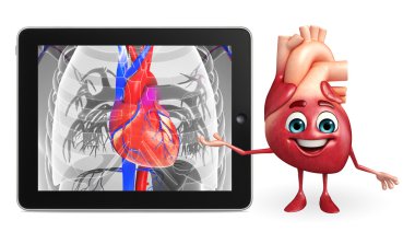 Kalp karakteri ile kalp anatomisi
