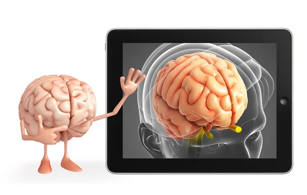 Brain Character with brain anatomy — Stock Photo, Image