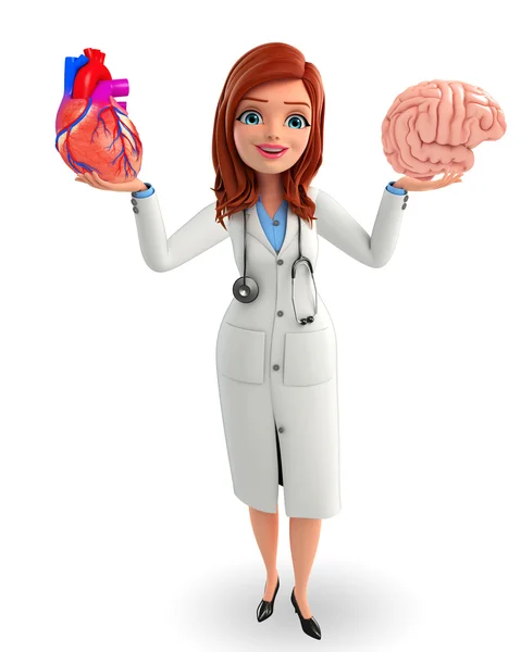 Young Doctor with heart and brain anatomy — Stock Photo, Image