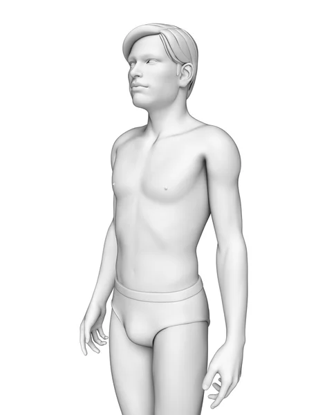 İnsan vücudu anatomisi — Stok fotoğraf