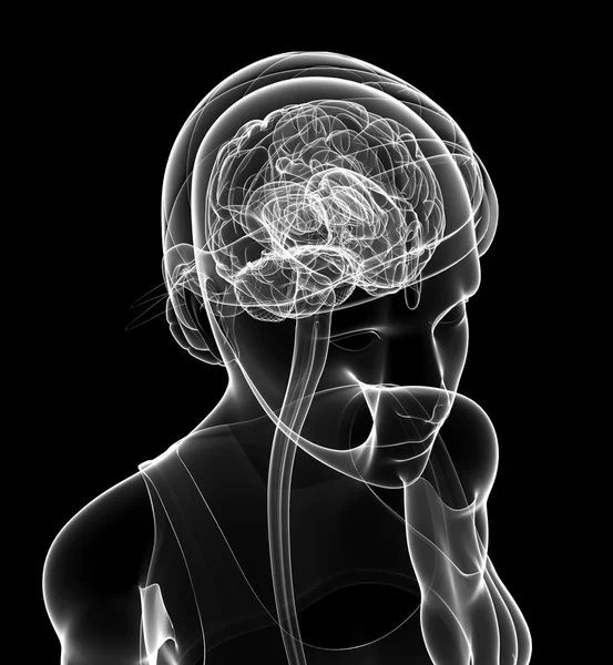 Female xray brain anatomy artwork — Stock Photo, Image