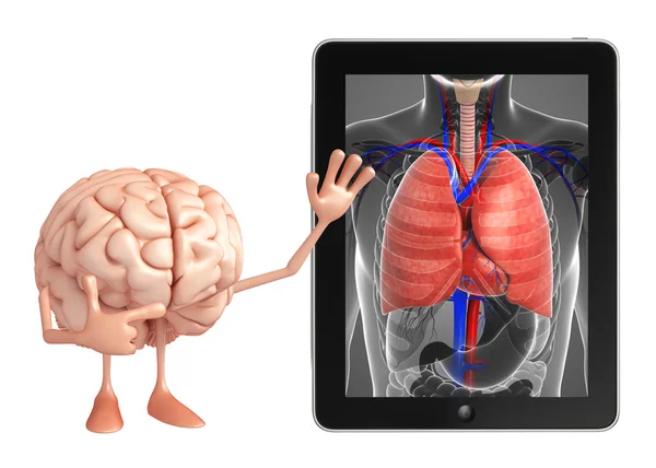 Brain Character with lungs anatomy — Stock Photo, Image