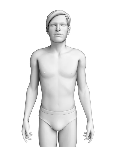 Anatomie van het menselijk lichaam — Stockfoto