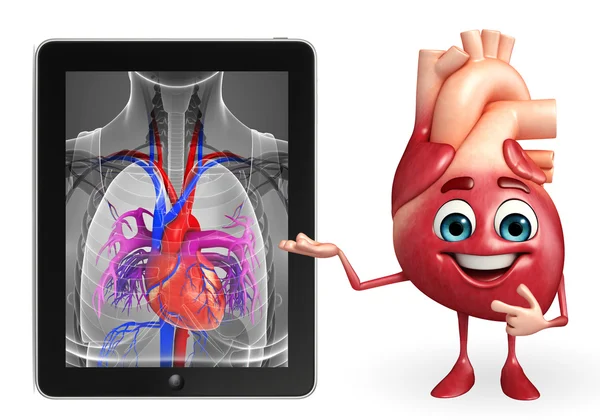 Heart character with heart anatomy — Stock Photo, Image