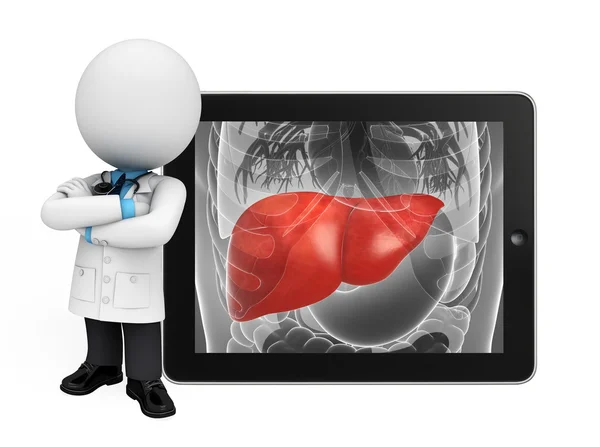 Young doctor with liver anatomy — Stock Photo, Image