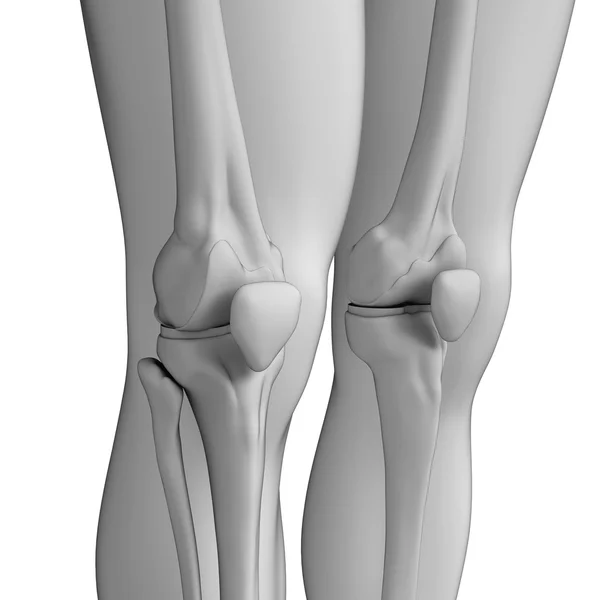 Kresba lidské koleno — Stock fotografie