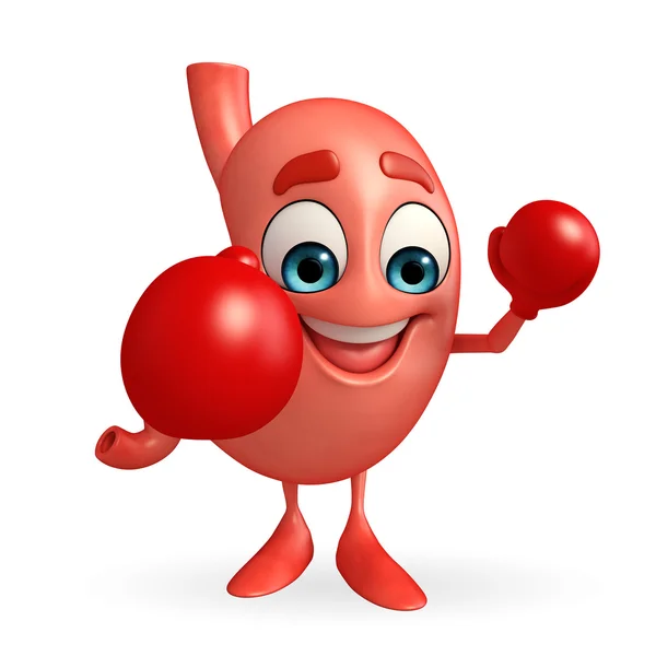 Cartoon Character of stomach with boxing gloves — Stock Photo, Image