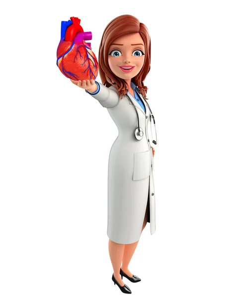 Young Doctor with heart anatomy — Stock Photo, Image