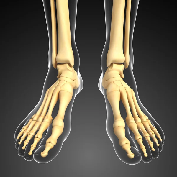 Ανθρώπινο πόδι έργο τέχνης — Φωτογραφία Αρχείου