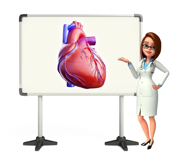 Young Doctor with heart anatomy — Stock Photo, Image