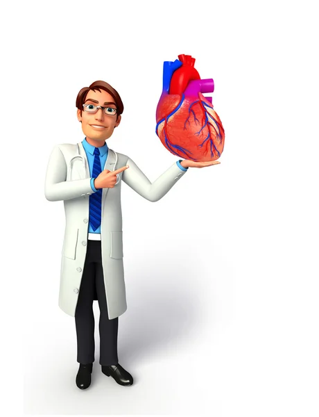 Młody lekarz z Anatomia serca — Zdjęcie stockowe