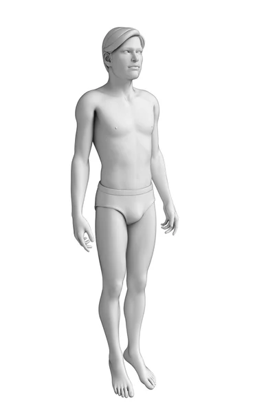Anatomie lidského těla — Stock fotografie