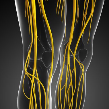 İnsan sinir sistemi sanat