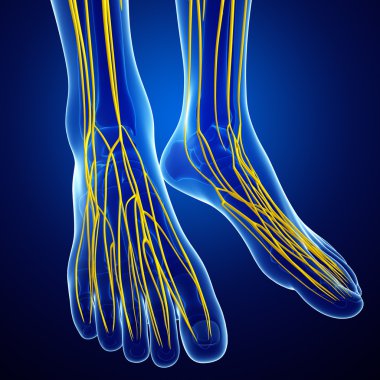 İnsan sinir sistemi sanat