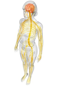 Kadın sinir sistemi sanat