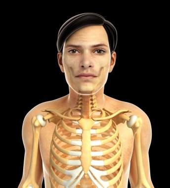 insan bakın çizimi