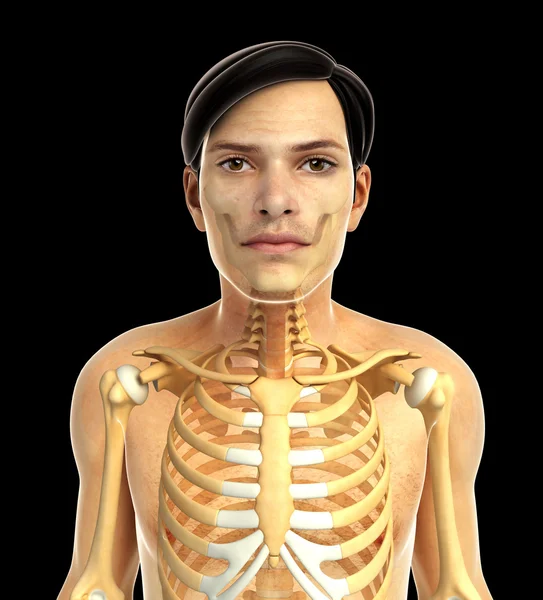 insan bakın çizimi