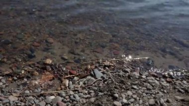 Nehirde berrak su dalgaları, suyun altında kayalık zemin