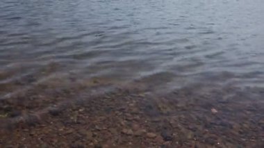 Nehirde berrak su dalgaları, suyun altında kayalık zemin