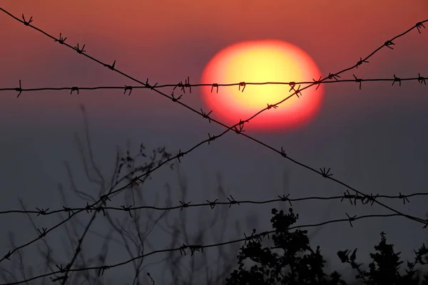 Den Uppgående Solen Och Den Karmosinröda Himlen Korsas Flera Trådar — Stockfoto