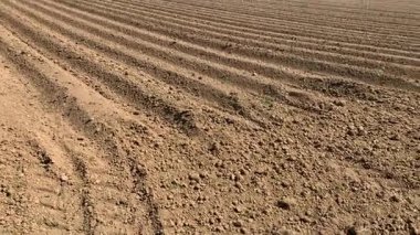 Arkaplanda traktör hatları ve yeşil tepeler olan kırsal alan.