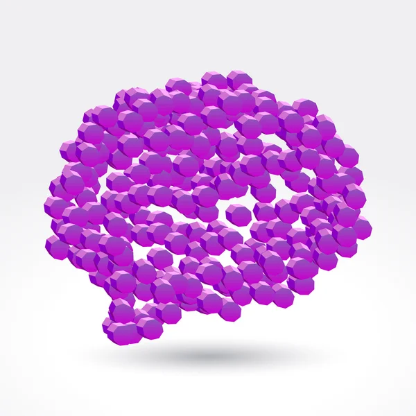 3D altıgen beyin.