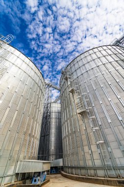 Buğday depolama tahılları ve diğer tahıllar için ambarlar. Modern bitki.