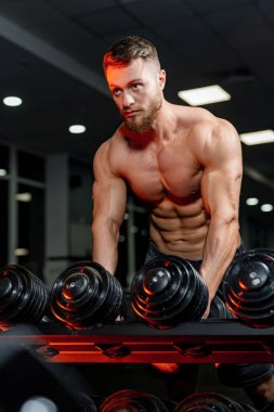 Rafın yanında metal dambıllarla poz veren formda genç bir adamın portresi. Yakışıklı adam sıkı çalışmadan önce öne bakıyor..