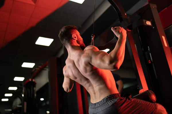 Athlete Perfect Body Doing Bencjh Press Gym View Back Shot — Stock Photo, Image