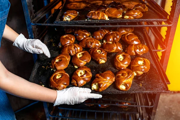 Профессиональный Пекарь Молодая Красивая Женщина Форме Поднос Свежих Хлебных Рулонов — стоковое фото