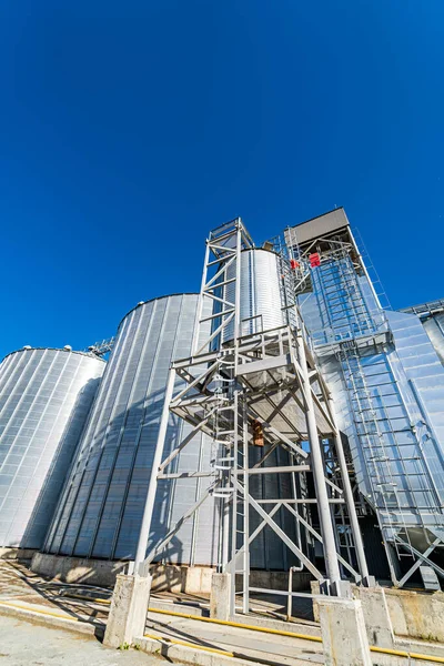 Tanks and agricultural silos of grain elevator storage. Loading facility building exterior. View from below.