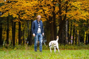 Labrador 'u olan yakışıklı bir delikanlı. Köpekli, masalsı bir altın parktaki adam. Cynologist.