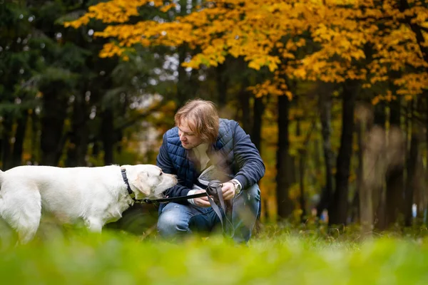 Dono Cão Masculino Fala Com Cão Labrador Parque Animal Confia — Fotografia de Stock