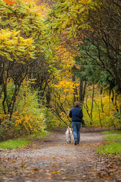 Köpek ve genç bir adam parkta eğleniyor. Arkadaşlık, evcil hayvanlar, birliktelik kavramı. Yüksek kalite fotoğraf. Arkadan bak..