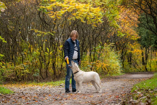 Собака Ретривер Мужчина Владелец Прогуливаются Парке Теплая Осень Городском Парке — стоковое фото